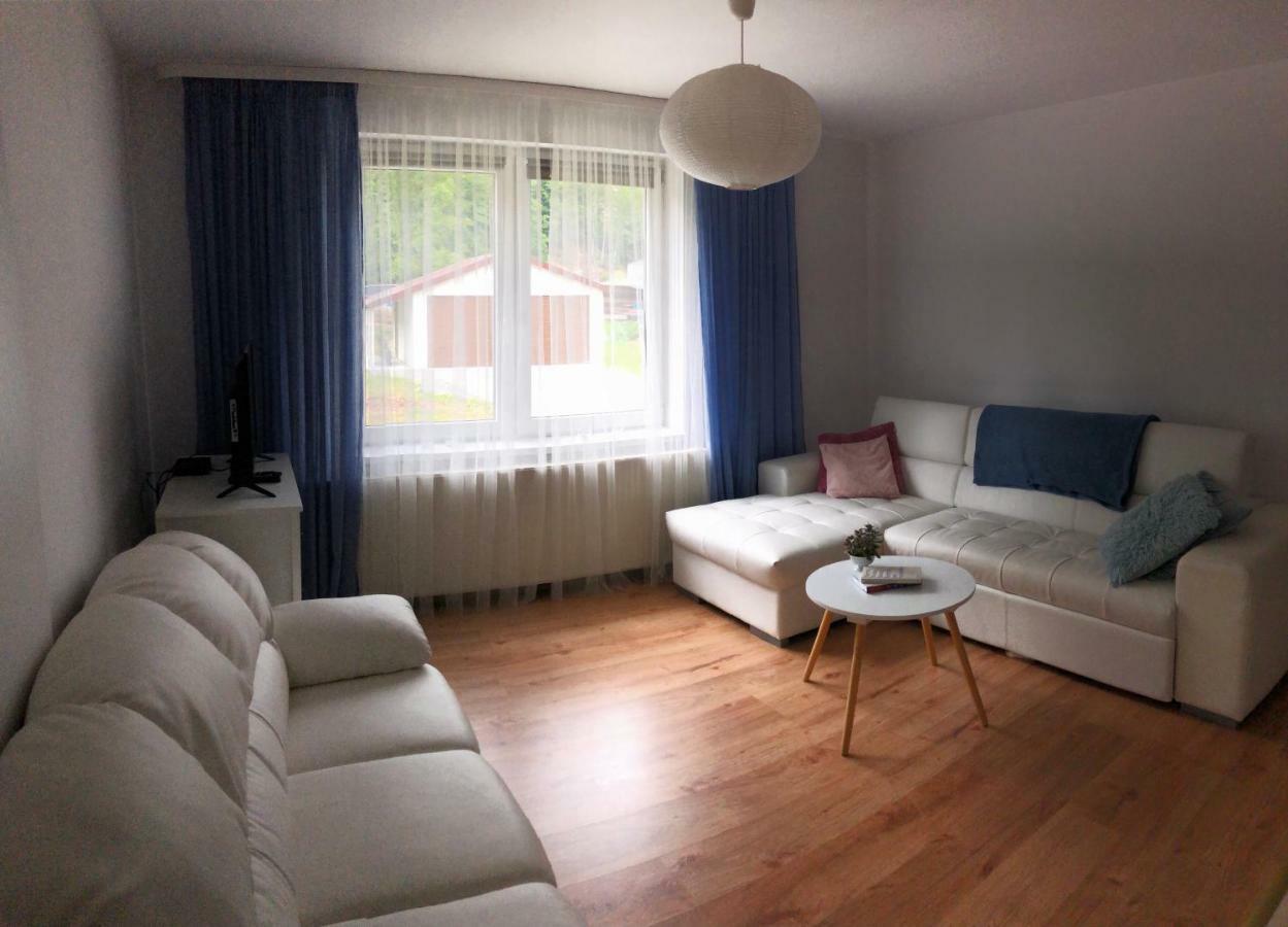 Apartament Ika Apartament Wisła Zewnętrze zdjęcie