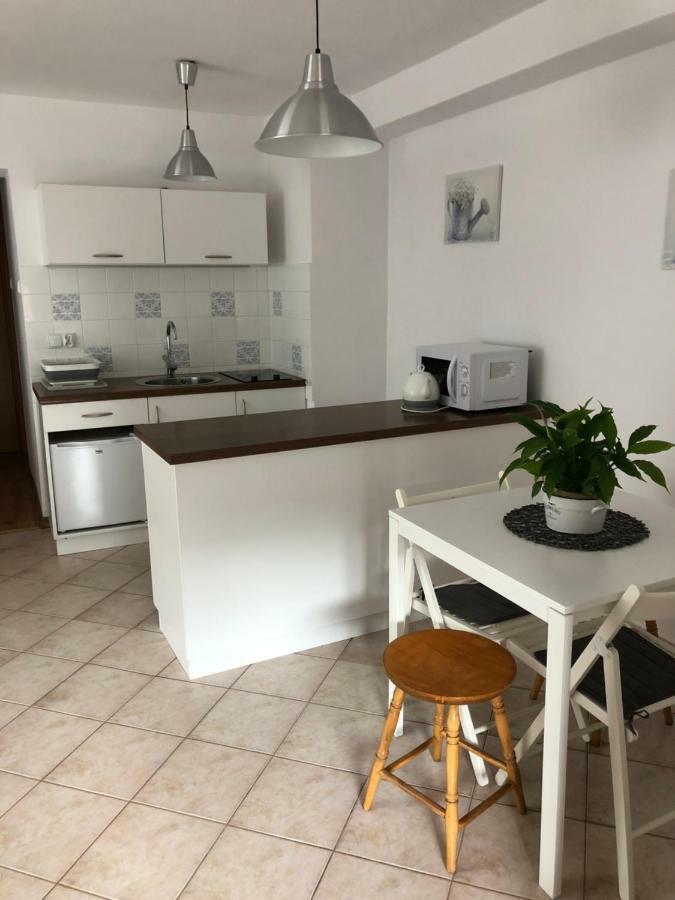 Apartament Ika Apartament Wisła Zewnętrze zdjęcie